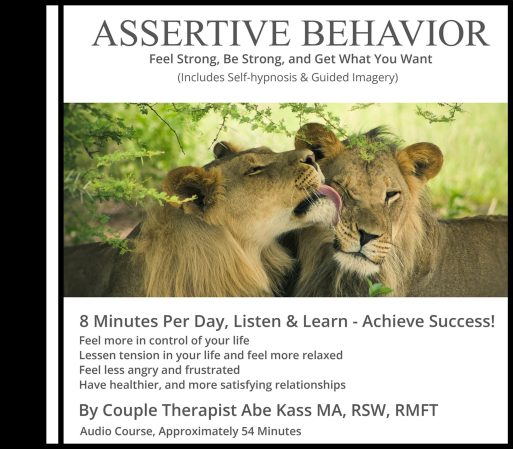 assertive behavior by family therapist abe kass